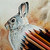 :icon1estel: