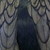 :icon1featherinthewind: