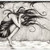 :icon1fenix: