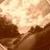 :icon1fleur: