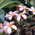 :icon1girloutofplace: