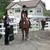 :icon1horse1998: