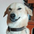 :icon1horsecat1: