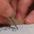 :icon1hundredmilesaway: