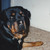 :icon1jackfrosty: