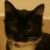 1LoveDrew :icon1lovedrew: