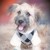 :icon1lucky789: