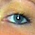 :icon1magination: