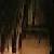 :icon1naruto59: