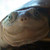 :icon1nfamou5: