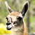 :icon1of4:
