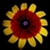 :icon1Prairiedog: