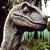 :icon1raptor: