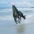:icon1rider: