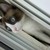 :icon1rodarte1: