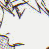 :icon1soul-rescue-club1: