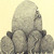 :icon1stippillist: