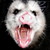 :icon1warriorsloveforever: