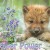:icon1wolflover98: