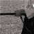 :icon2040halen: