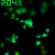 :icon2048: