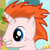 :icon206-ginge: