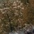:icon20sentryfox: