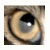 :icon2159a: