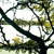 :icon216photography:
