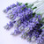 :icon21daysoflavender: