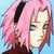 :icon21sakura21: