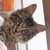 :icon2210my: