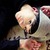 :icon227strawberrydeath:
