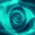 :icon2312mememe:
