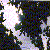 :icon23skidoo:
