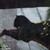 :icon240168: