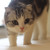:icon252365085: