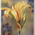 :icon2563machine: