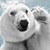 :icon25tonesbrain: