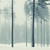 :icon26owls: