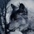 :icon27cm: