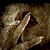 :icon27ginevra17: