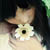 :icon296955315: