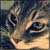 :icon29cookies: