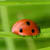 :icon2-seek-u: