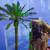:icon2blueturtle: