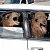 :icon2camelsinatinycarplz: