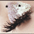 :icon2ce: