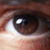 :icon2ce2ce2ce: