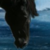 :icon2crystal143:
